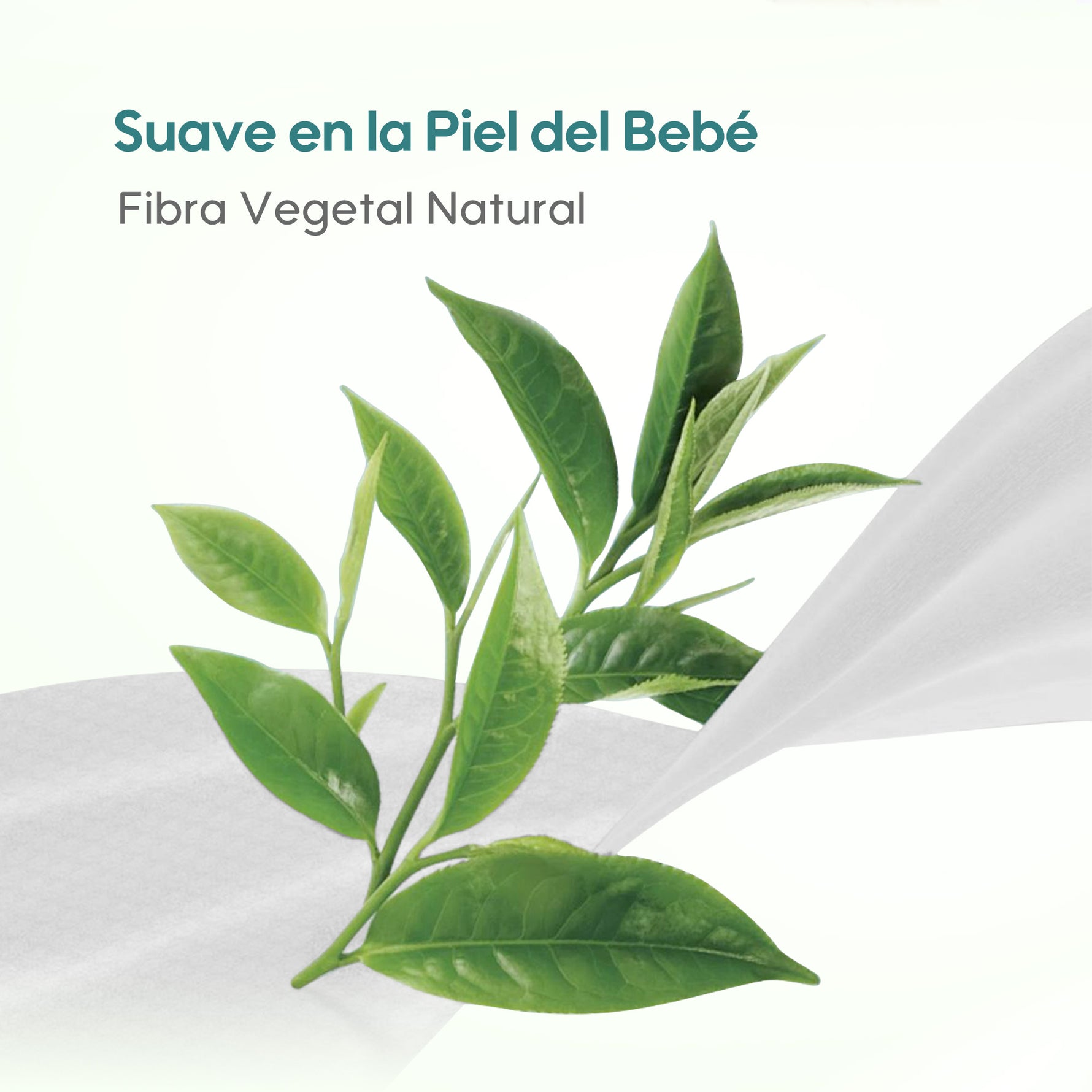 Icono de hoja de aloe vera en envase: toallitas infusionadas con aloe vera para calamar irritaciones.