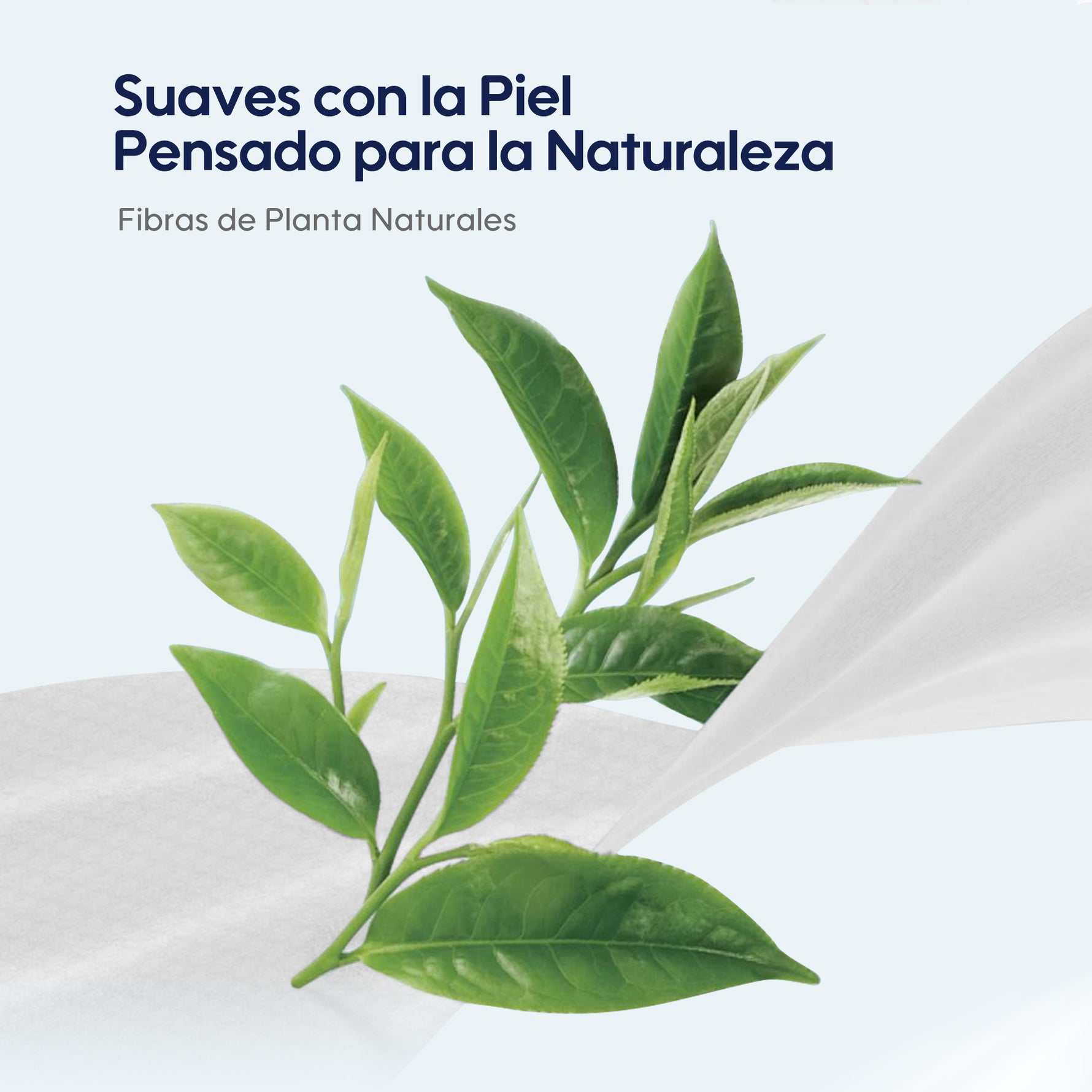  Hechas con materiales vegetales, sin alcohol ni fragancia, para limpieza suave en viajes.